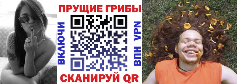 Псилоцибиновые грибы прущие грибы  купить  сайты  Нефтекумск 